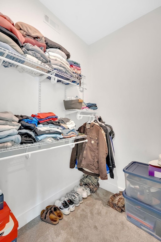 1017 Cliff View Dr N, Kingston Springs, TN 37082 - walk in closet with visible vents and carpet