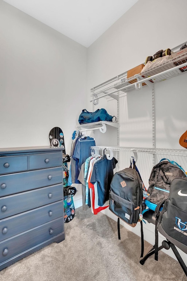 1017 Cliff View Dr N, Kingston Springs, TN 37082 - walk in closet featuring carpet