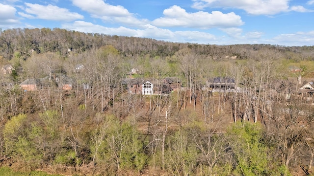 1017 Cliff View Dr N, Kingston Springs, TN 37082 - bird's eye view with a view of trees