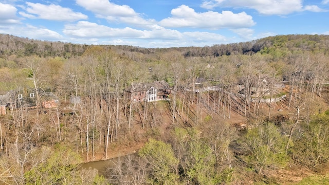 1017 Cliff View Dr N, Kingston Springs, TN 37082 - drone / aerial view with a view of trees