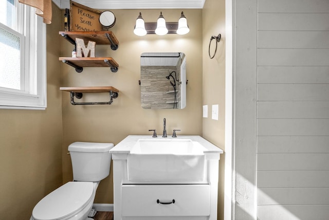 bathroom with vanity, a healthy amount of sunlight, and toilet