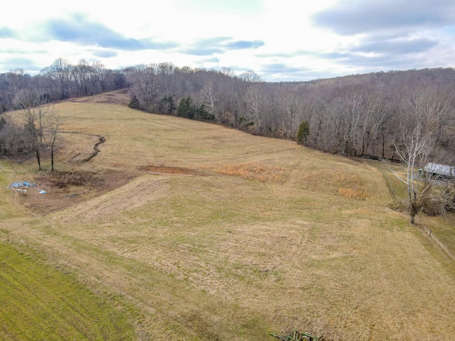 1801 Garrett Rd, Charlotte, TN 37036 - photo 76