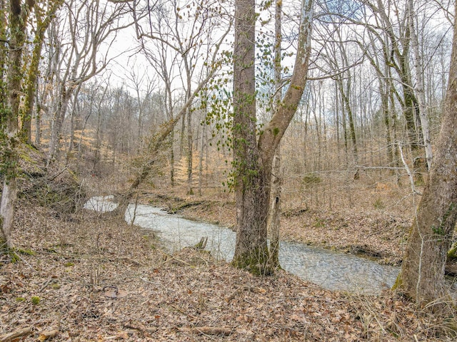1801 Garrett Rd, Charlotte, TN 37036 - photo 77