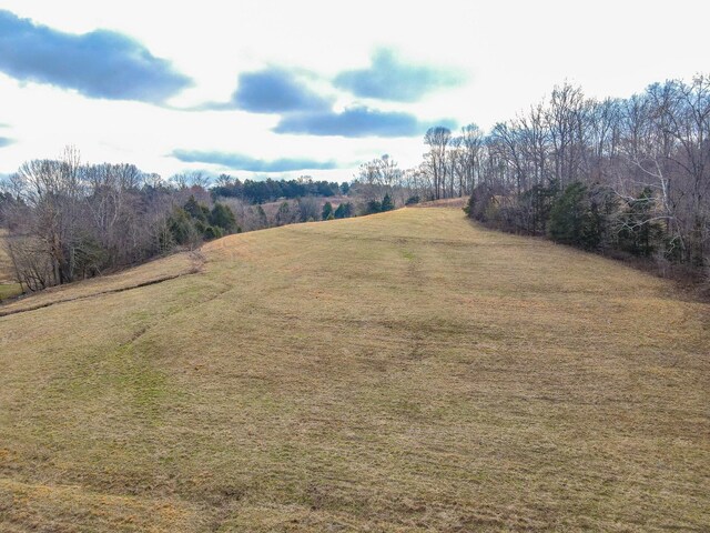 1801 Garrett Rd, Charlotte, TN 37036 - photo 80