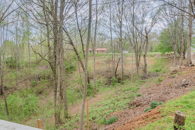 1037 Boston Hollow Rd, Ashland City, TN 37015 - photo 31