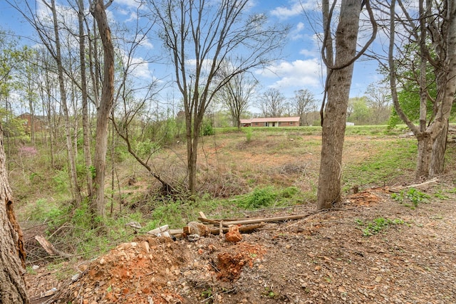 1037 Boston Hollow Rd, Ashland City, TN 37015 - photo 30