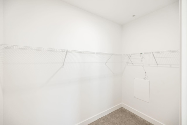 spacious closet featuring light carpet