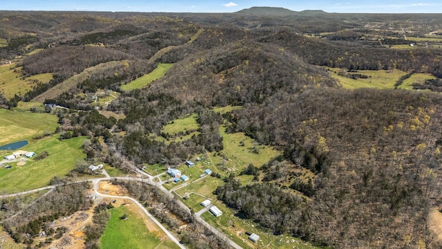 1036 Locke Creek Rd, Readyville, TN 37149 - bird's eye view featuring a mountain view