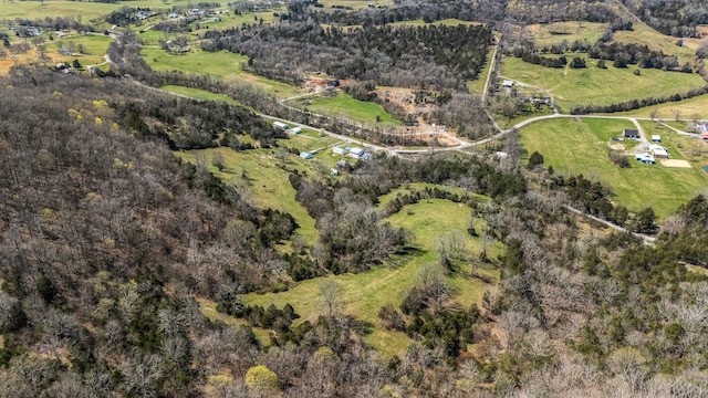 1036 Locke Creek Rd, Readyville, TN 37149 - aerial view