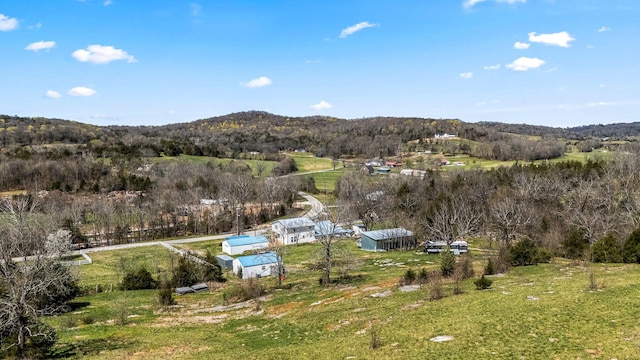 1036 Locke Creek Rd, Readyville, TN 37149 - birds eye view of property featuring a mountain view and a forest view
