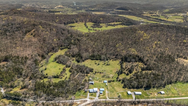 1036 Locke Creek Rd, Readyville, TN 37149 - drone / aerial view