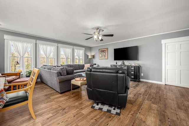 1036 Locke Creek Rd, Readyville, TN 37149 - living area featuring a ceiling fan, plenty of natural light, baseboards, and wood finished floors