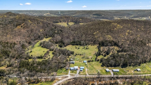 1036 Locke Creek Rd, Readyville, TN 37149 - bird's eye view with a wooded view
