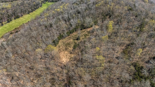 1036 Locke Creek Rd, Readyville, TN 37149 - drone / aerial view featuring a forest view