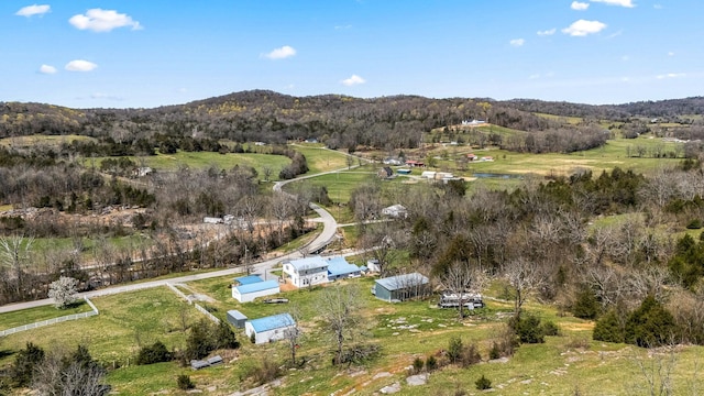 1036 Locke Creek Rd, Readyville, TN 37149 - aerial view with a mountain view and a view of trees