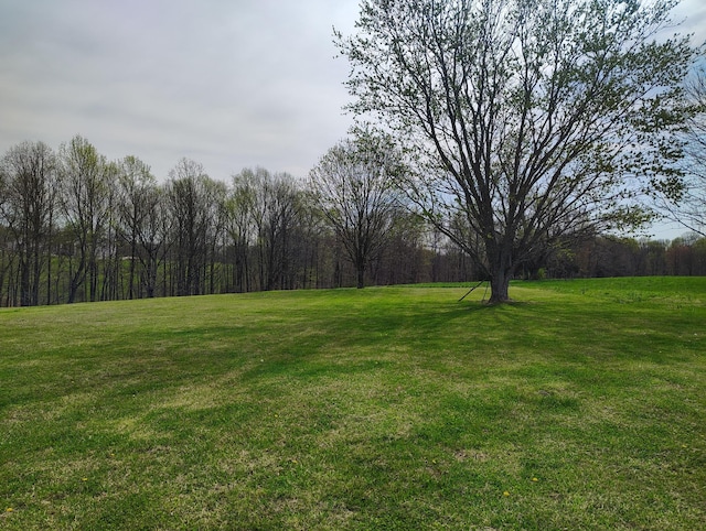 view of yard with a forest view