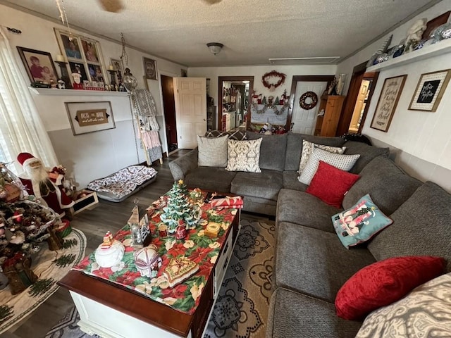 living room featuring a textured ceiling and wood finished floors