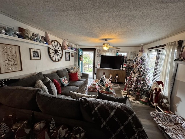 living room with a ceiling fan, wood finished floors, and a textured ceiling