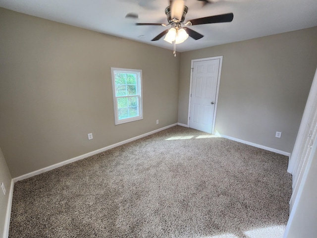 1212 Sharpe St, Hopkinsville, KY 42240 - photo 7