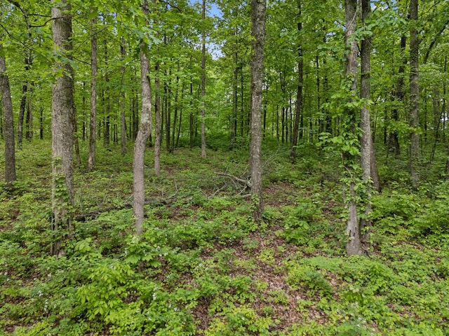 6033 Vesper Way E, Franklin, TN 37064 - view of wooded area