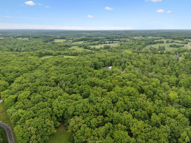 6033 Vesper Way E, Franklin, TN 37064 - aerial view of a forest