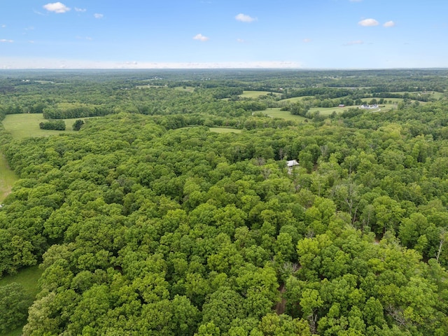 6033 Vesper Way E, Franklin, TN 37064 - bird's eye view of a heavily wooded area
