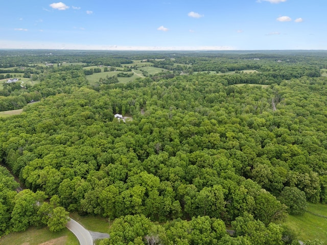 6033 Vesper Way E, Franklin, TN 37064 - drone / aerial view of a forest