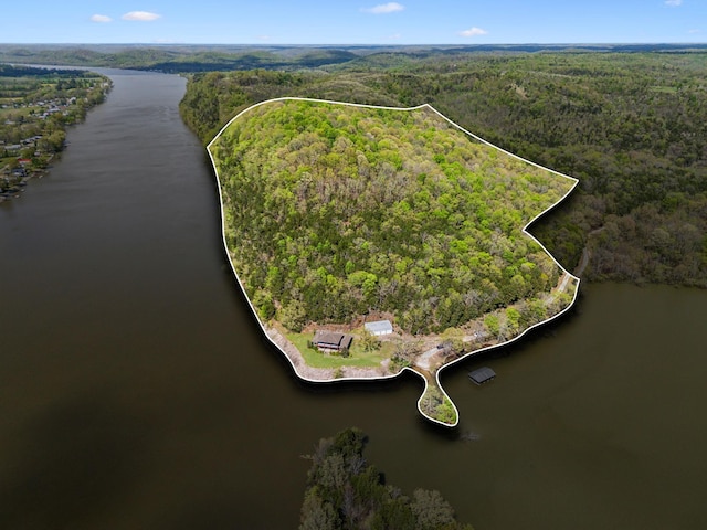 aerial view with a water view and a view of trees
