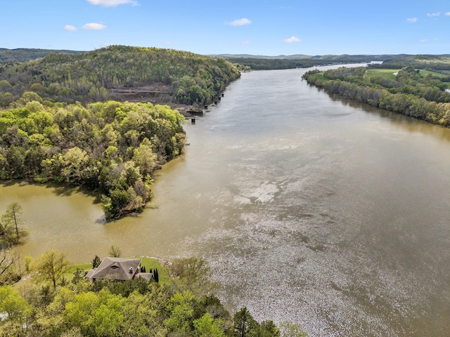 bird's eye view featuring a view of trees and a water view
