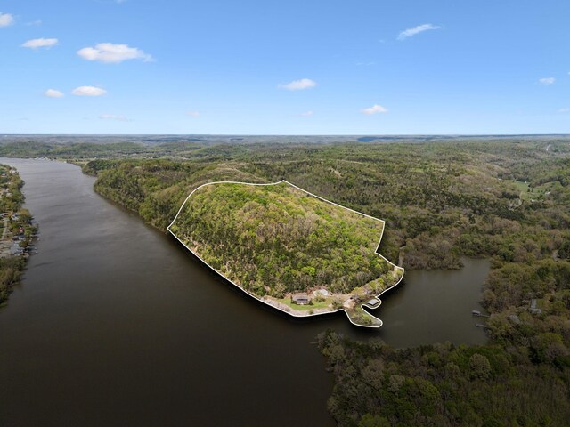 468 Phillips Rd, Linden, TN 37096 - photo 3