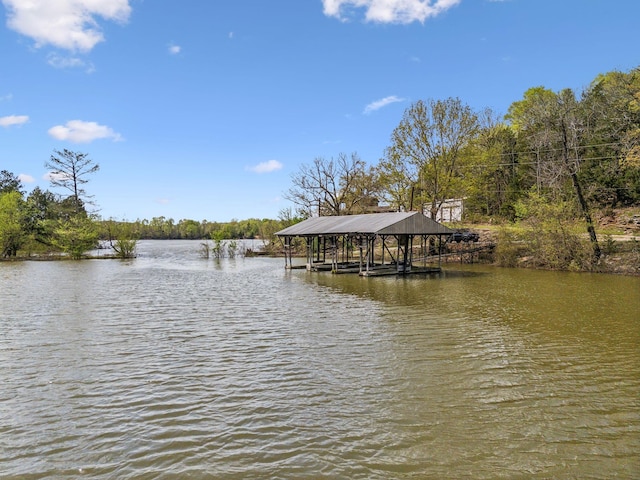 468 Phillips Rd, Linden, TN 37096 - photo 4