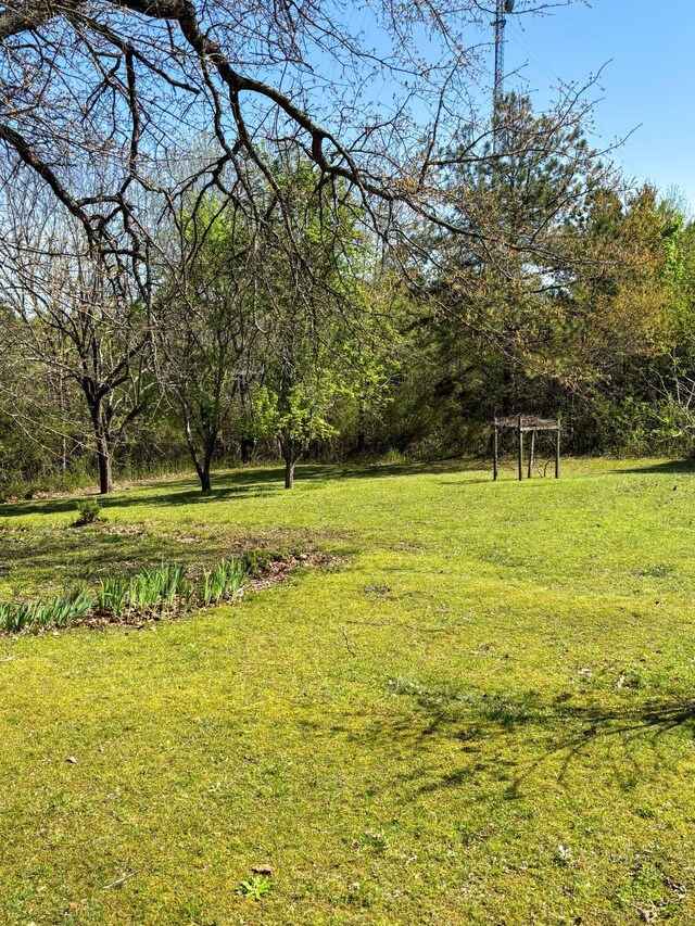 126 Zimmerman St, Hohenwald, TN 38462 - view of yard