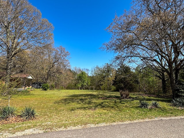 126 Zimmerman St, Hohenwald, TN 38462 - view of yard featuring a wooded view