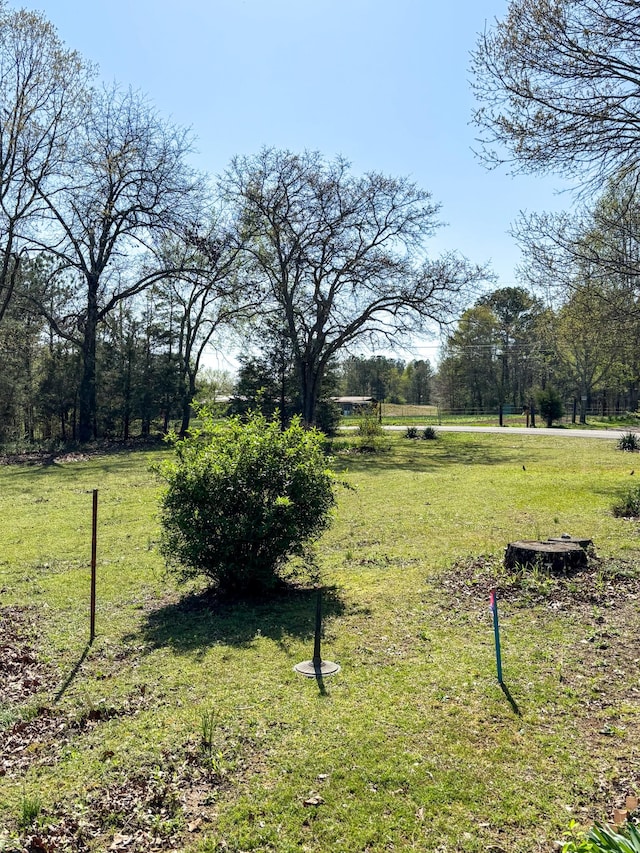 126 Zimmerman St, Hohenwald, TN 38462 - view of yard