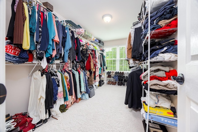 spacious closet featuring carpet
