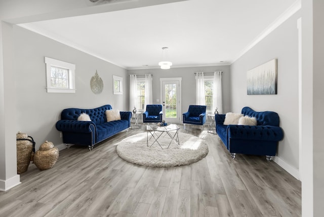 living area featuring baseboards, wood finished floors, and ornamental molding