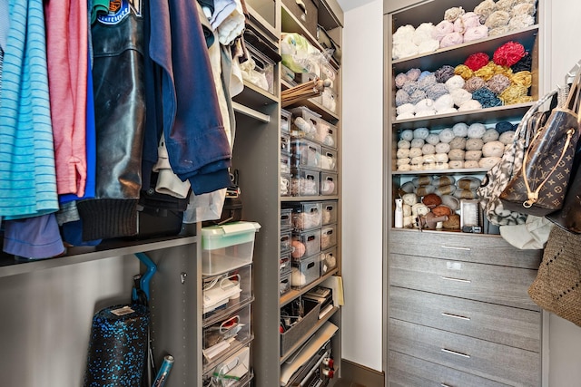 515 Church St Unit 3908, Nashville, TN 37219 - view of walk in closet