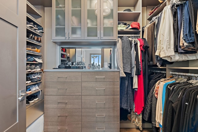 515 Church St Unit 3908, Nashville, TN 37219 - view of walk in closet