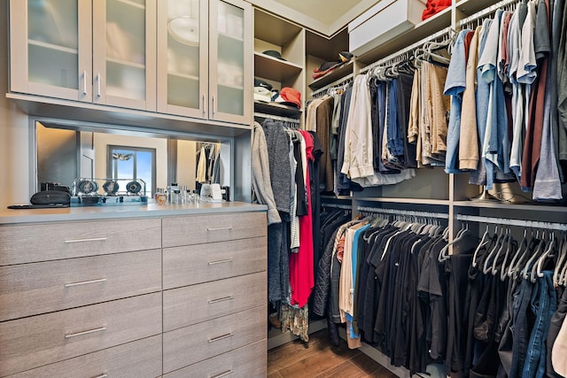 515 Church St Unit 3908, Nashville, TN 37219 - walk in closet featuring dark wood-style flooring