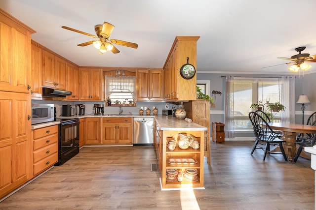 kitchen featuring stainless steel appliances, under cabinet range hood, a sink, and ceiling fan
