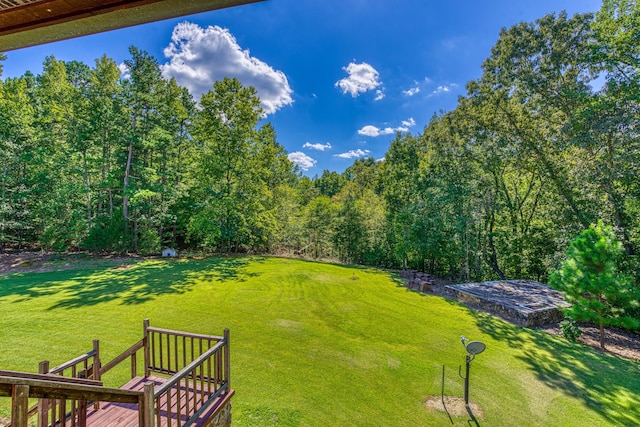 925 County Road 197, Waterloo, AL 35677 - photo 8