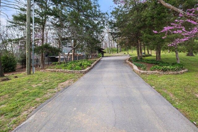 1122 Oman Dr, Brentwood, TN 37027 - view of road