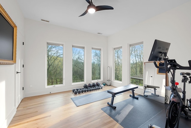 1122 Oman Dr, Brentwood, TN 37027 - workout area with healthy amount of natural light, wood finished floors, ceiling fan, and baseboards