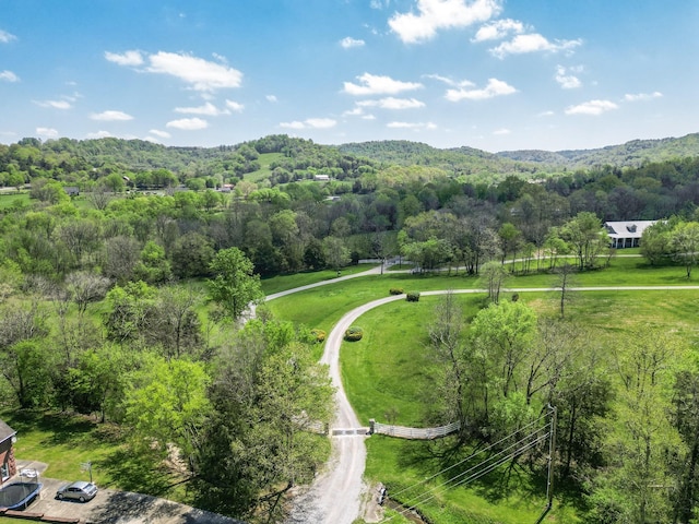 122 Creekside Ln, Woodbury, TN 37190 - photo 9