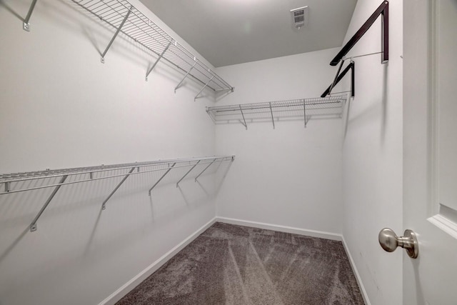 1006 Chisolm Trl, Goodlettsville, TN 37072 - spacious closet featuring visible vents and carpet floors