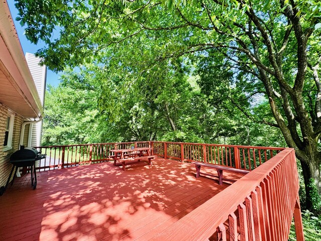 5680 Clarksville Pike, Joelton, TN 37080 - photo 58