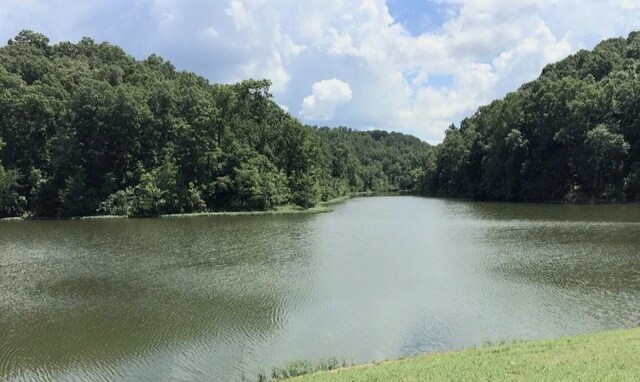 5680 Clarksville Pike, Joelton, TN 37080 - photo 70