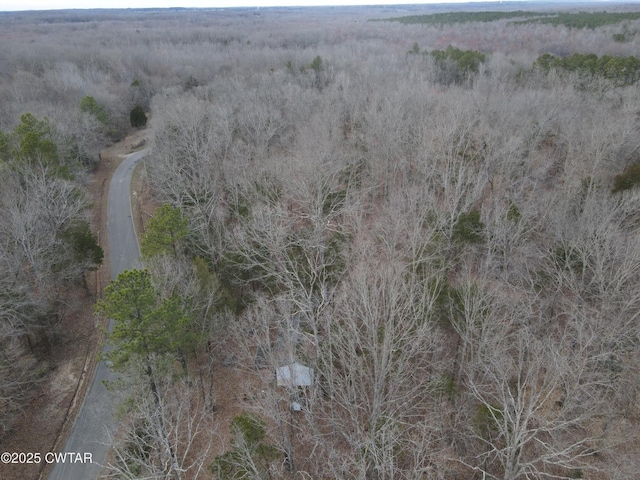 2155 Pond Branch Rd, Buena Vista, TN 38318 - photo 5