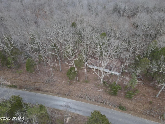 2155 Pond Branch Rd, Buena Vista, TN 38318 - photo 6