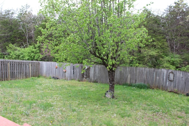 6309 Paddington Way, Antioch, TN 37013 - view of yard with a fenced backyard